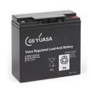 Yuasa TEV12210, 12V 21Ah Valve Regulated Lead Acid (VRLA) High Capacity Deep Cycle Battery (L(mm) W(mm) H(mm) 181 76 167)