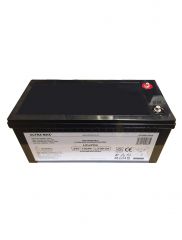 Ultramax LI100-24 24v 100Ah Lithium Iron Phosphate (LiFePO4) Battery